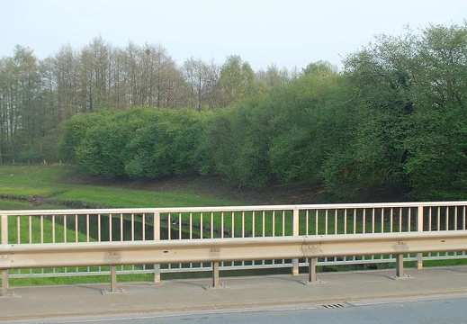 Der Fluss