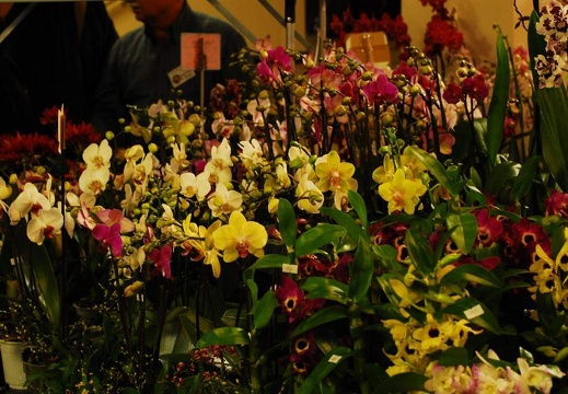 DSC 0880
