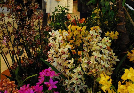DSC 0964