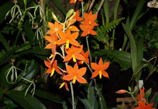SB020908