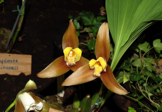 SB020911