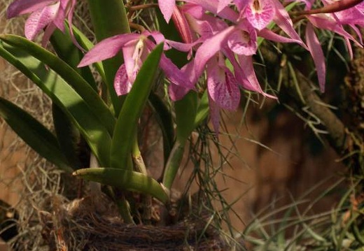 SB020919