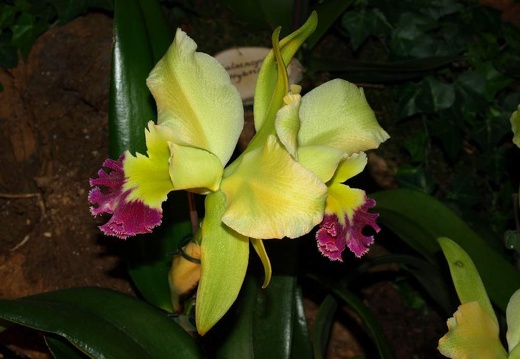 SB021009