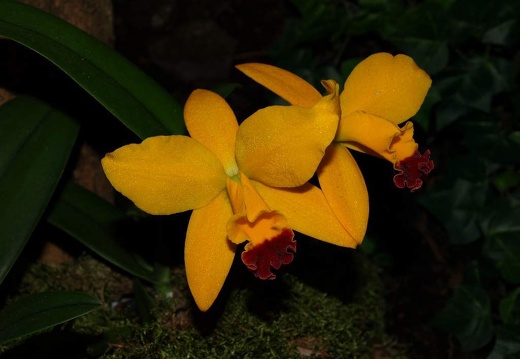 SB021010