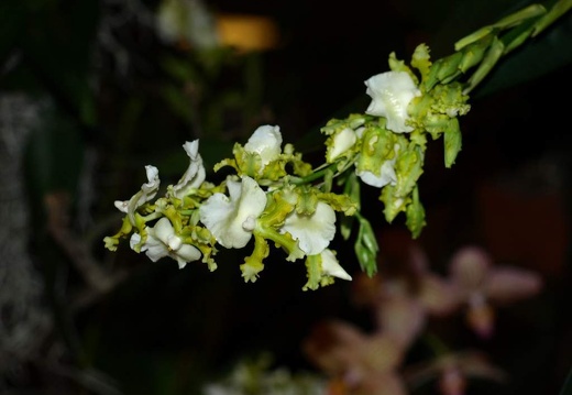 SB021027