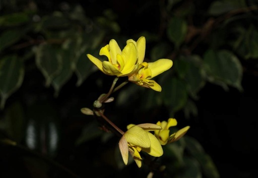 SB021094