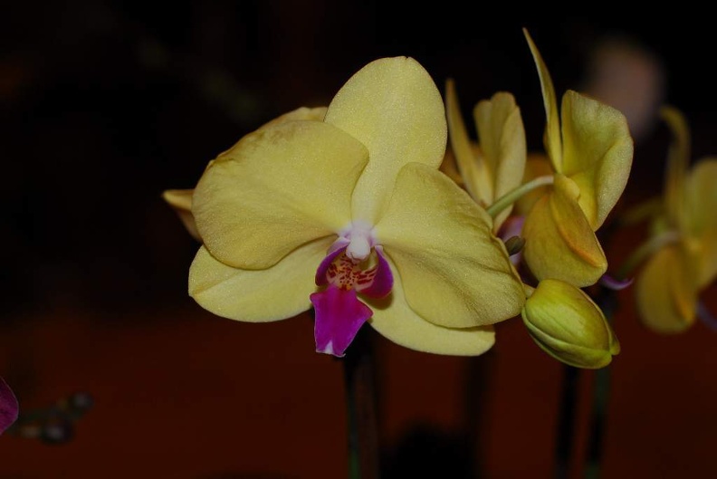 DSC_9370.jpg