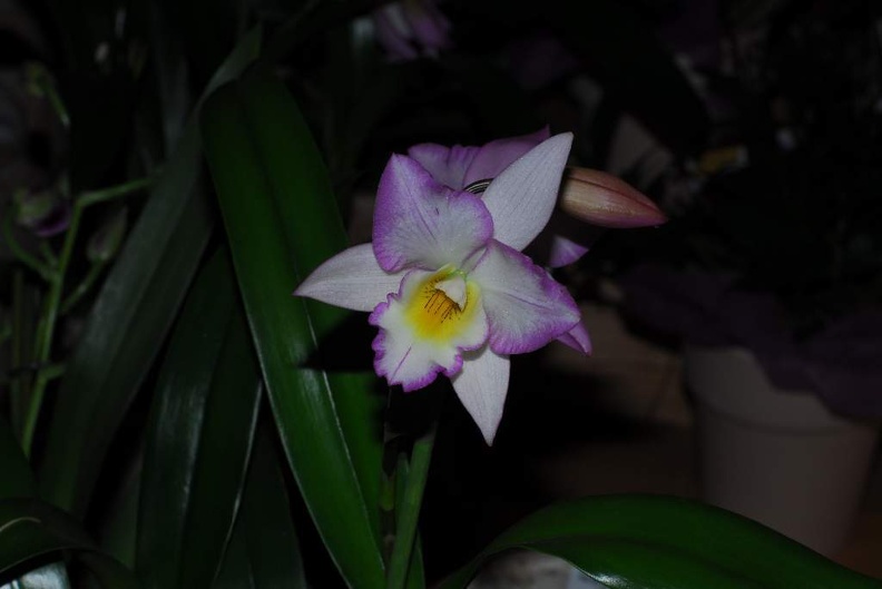 DSC_9383.jpg