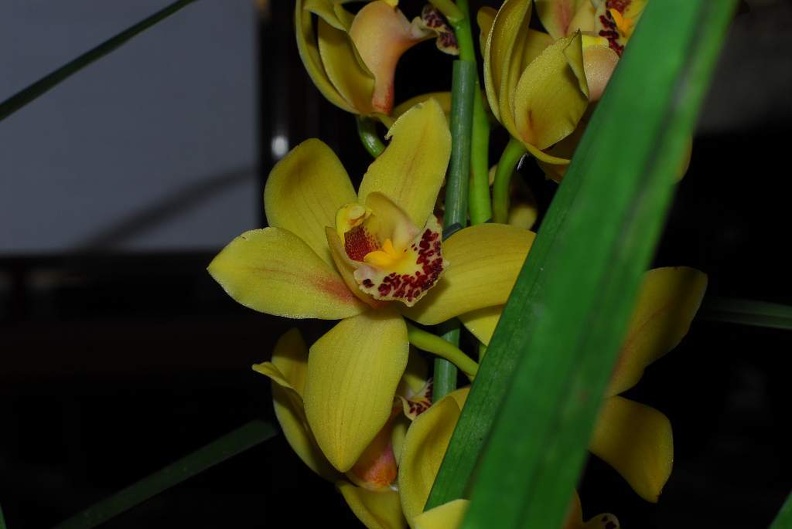 DSC_9399.jpg