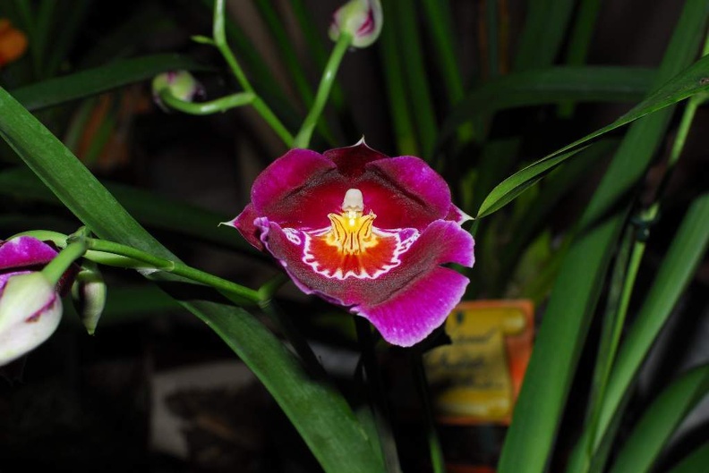 DSC_9400.jpg