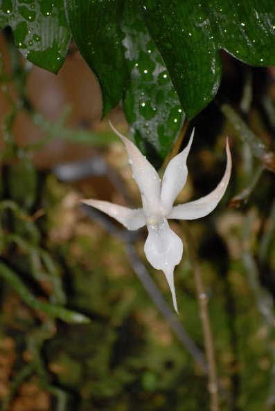 DSD_5870.jpg