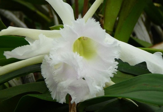 P1050896