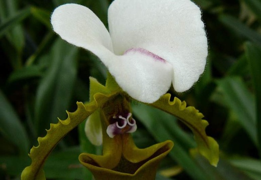 P1050910