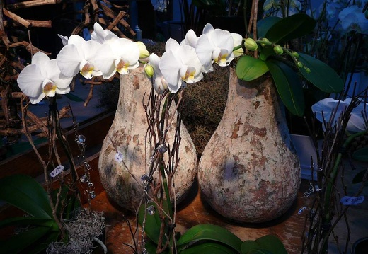 P1050946