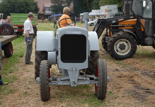 DSF 1819