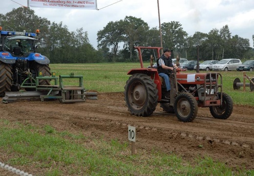 DSF 1826