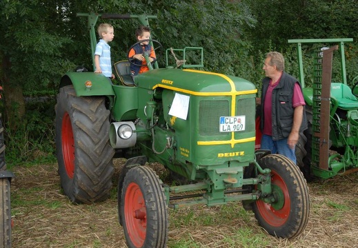 DSF 1831