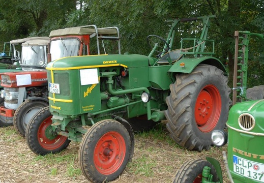 DSF 1873