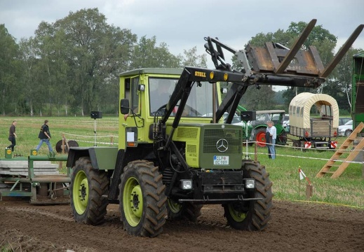 DSF 1882