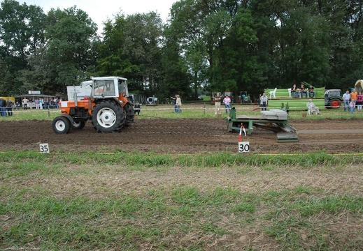 DSF 1895