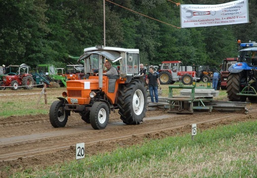 DSF 1894
