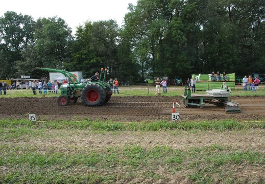 DSF 1901