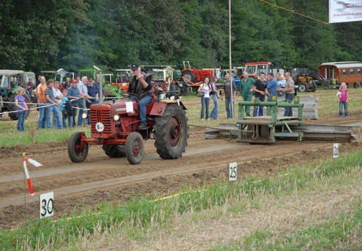 DSF 1905