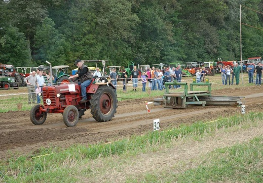 DSF 1906