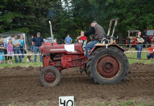 DSF 1907