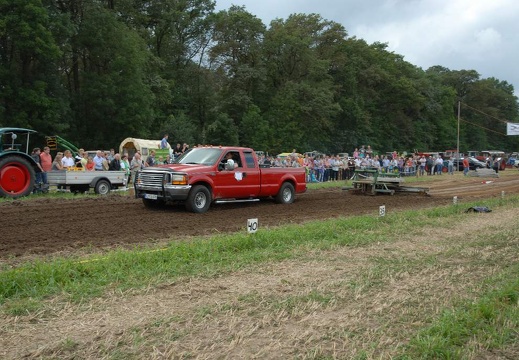 DSF 1951