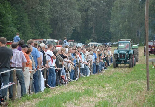 DSF 1981