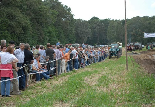 DSF 1984