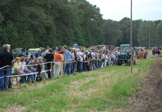 DSF 1998