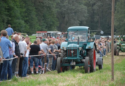 DSF 2001