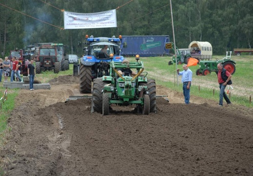 DSF 2003