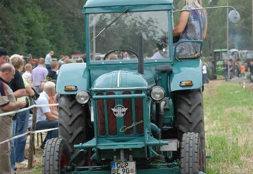 DSF 2008