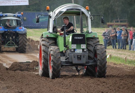 DSF 2033