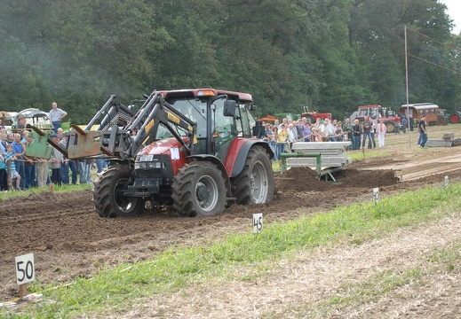 DSF 2061