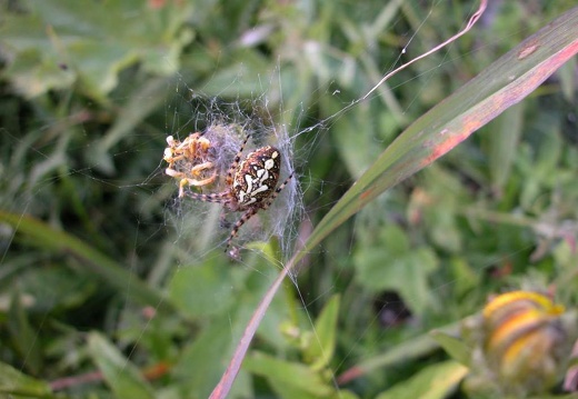 DSCN1297