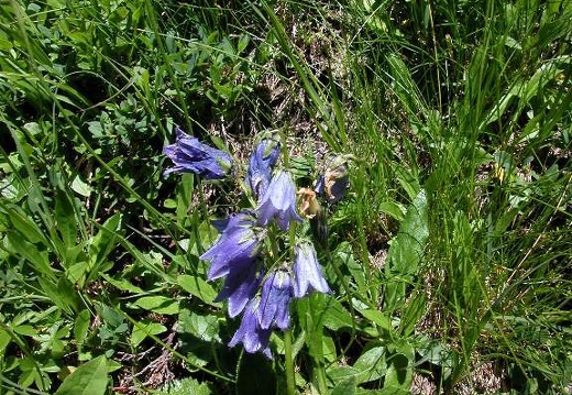 DSCN1334