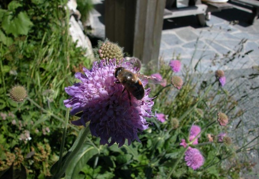 DSCN1364