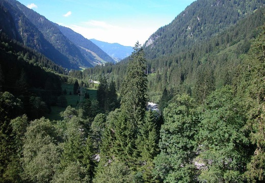 DSCN1374