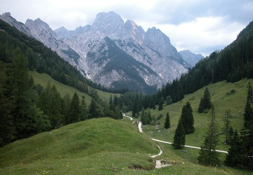 DSCN1383