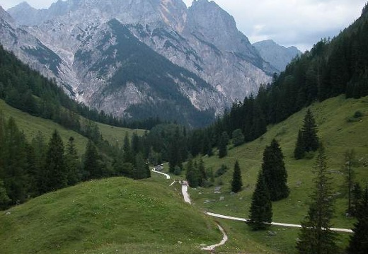 DSCN1384
