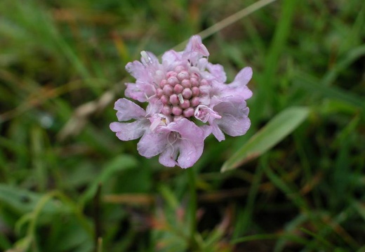 DSCN1433