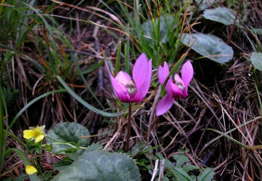 DSCN1437