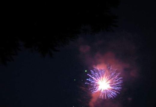 DSCN1494