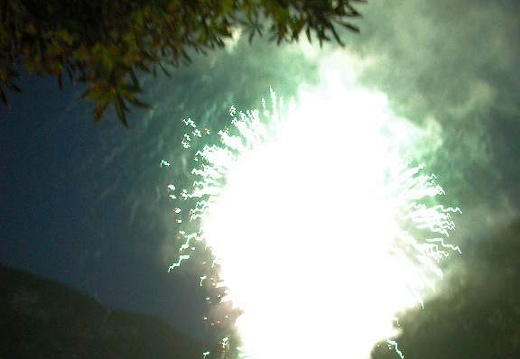 DSCN1498
