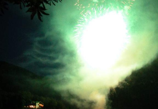 DSCN1516