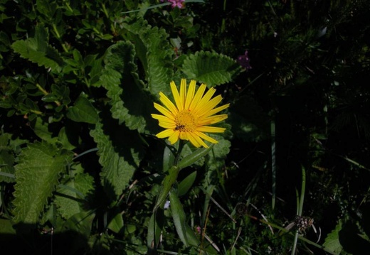 DSCN1528